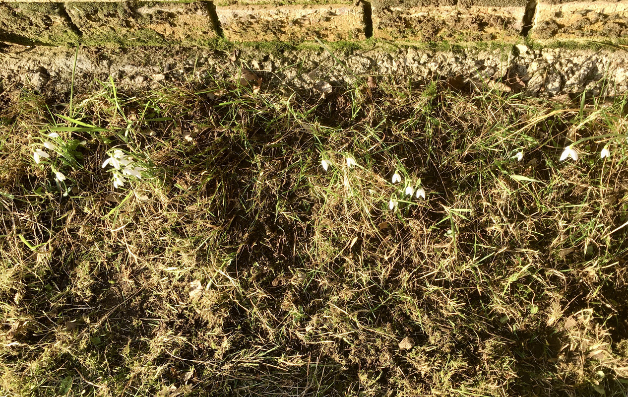 88BC6A20-A20A-4C05-AE97-2544155D396B