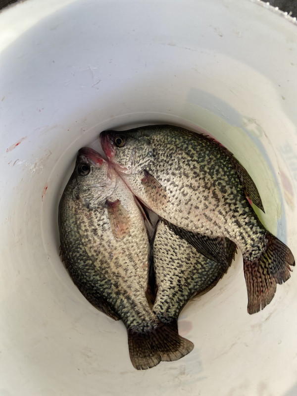 58CE8171-7B5C-4262-A92C-70EB48F6E172