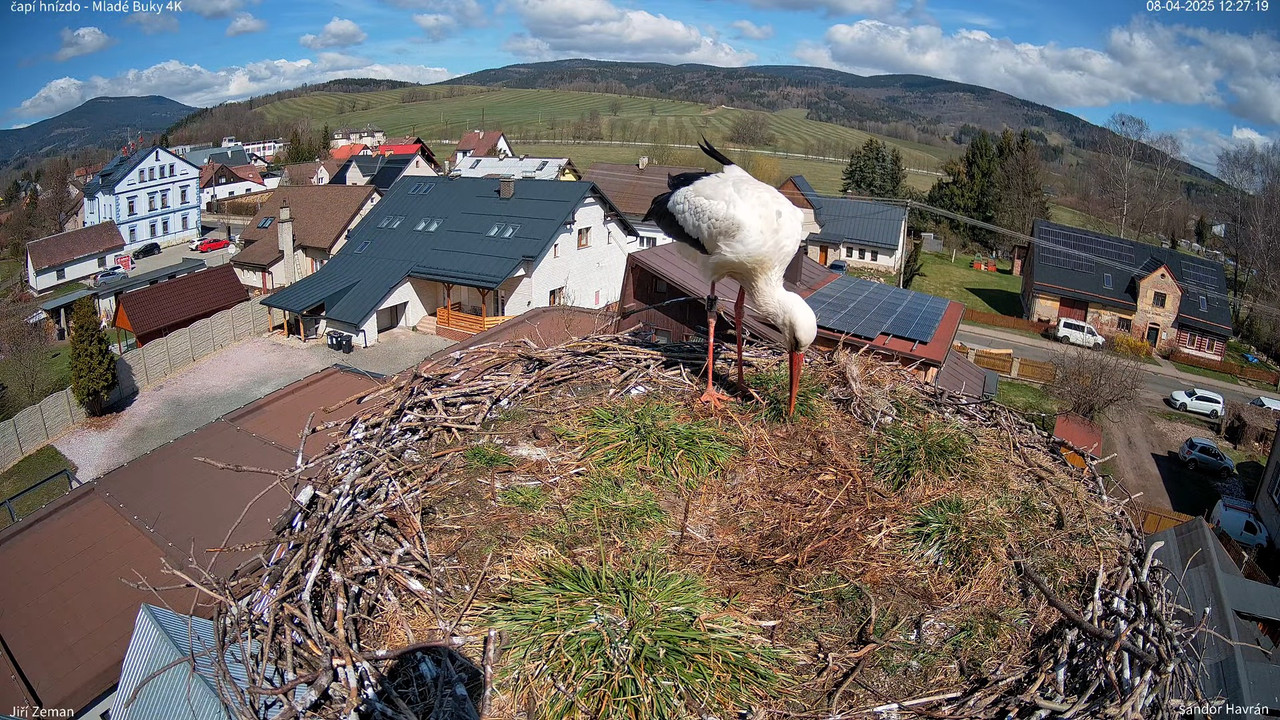 Tiešraides kamera — Mladé Buky — stārķa ligzda 4K 14-14-9 screenshot (1)