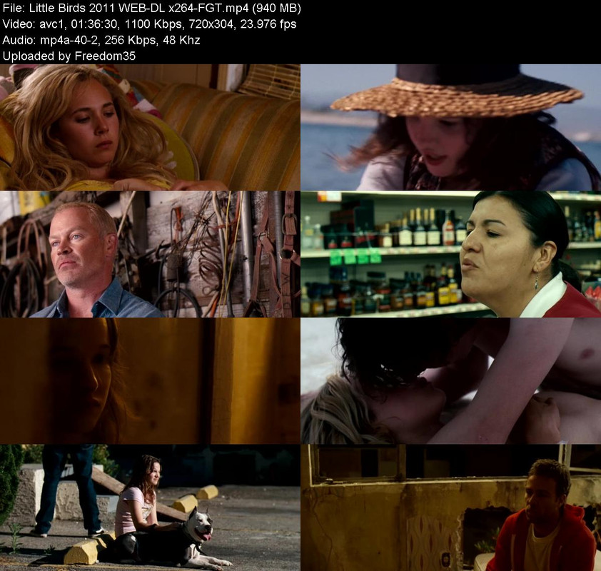 Little-Birds-2011-WEB-DL-x264-FGT.jpg