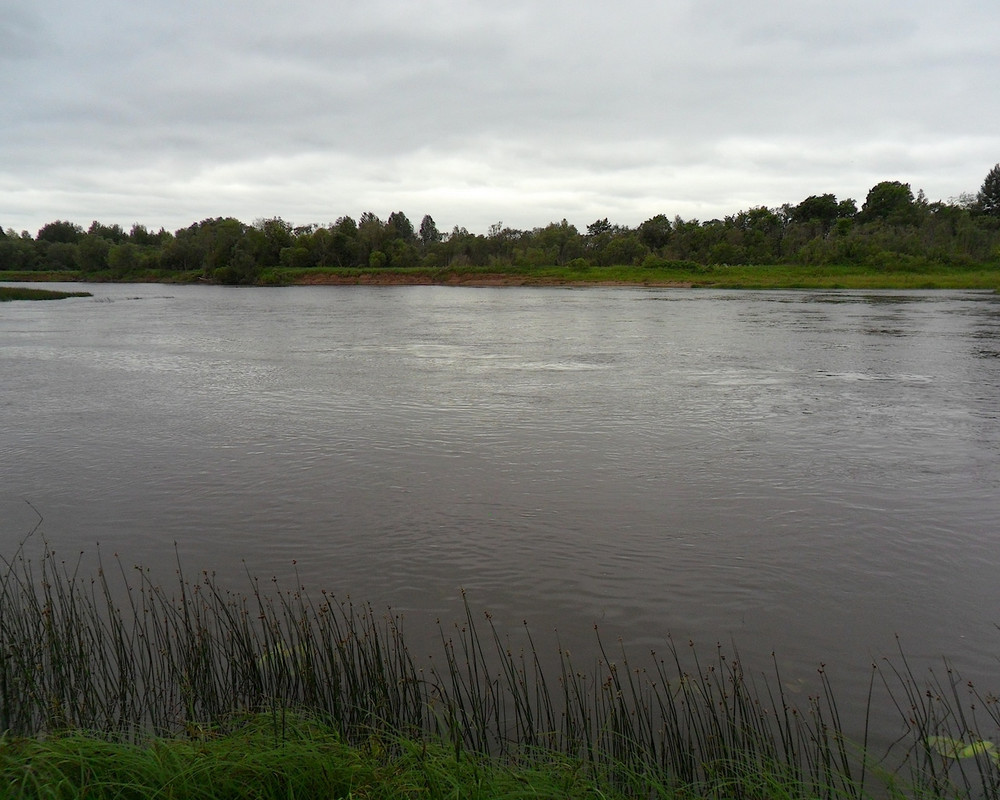 Кама 20.06.13 г 02