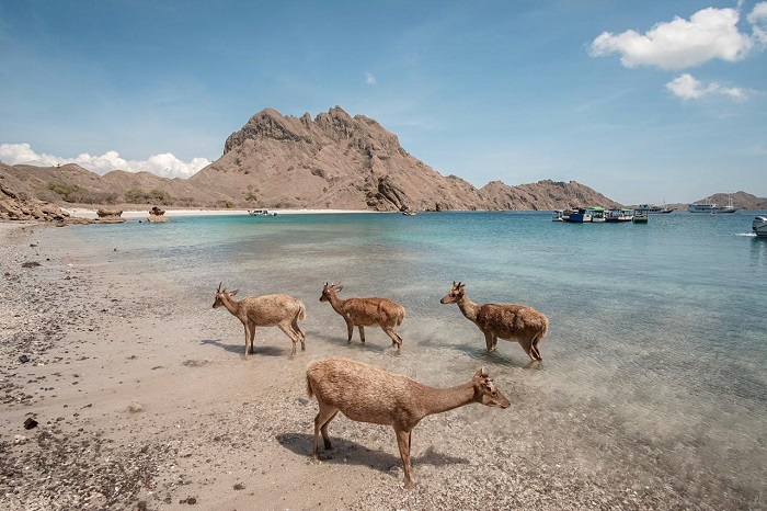 Labuan Bajo