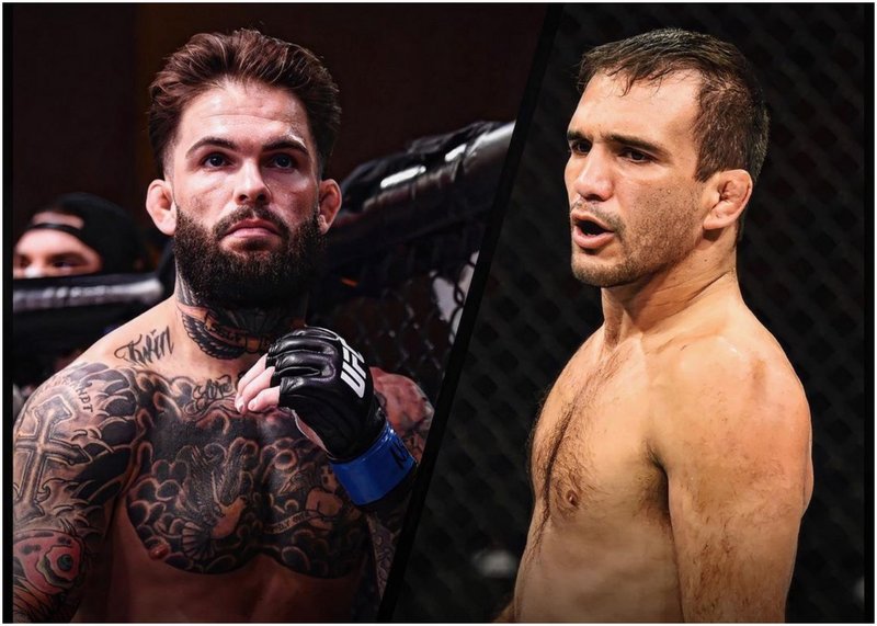 Коди Гарбранд срещу Рани Яхя на UFC Fight Night 209