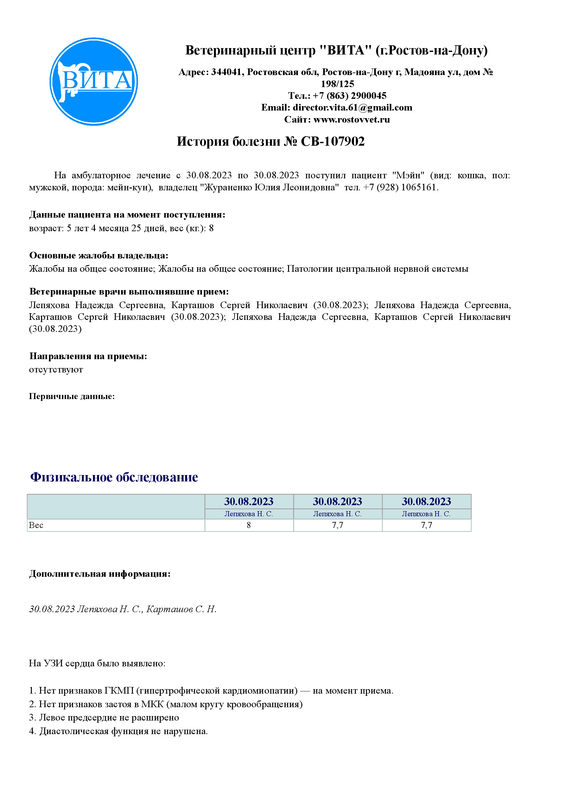 Мейн 2