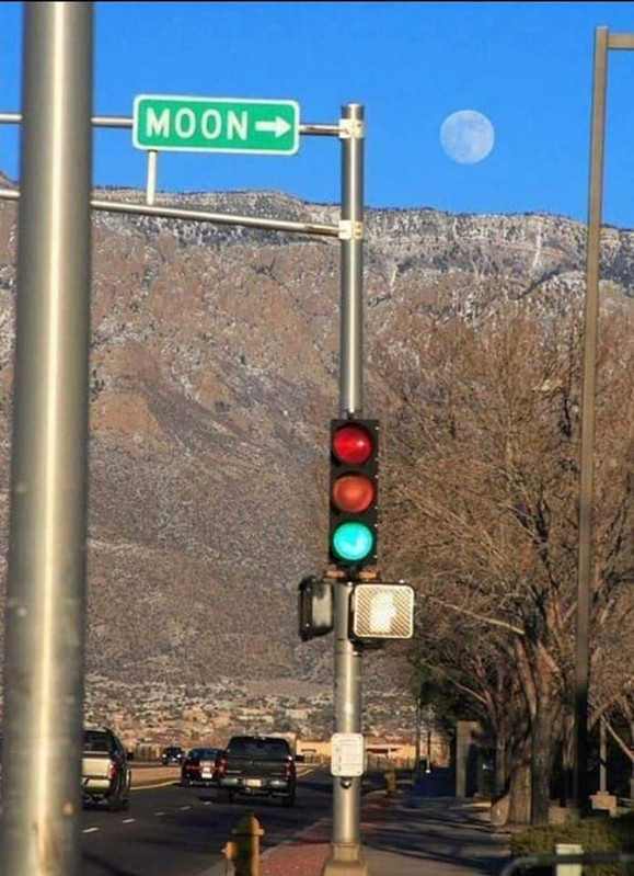 accidental-surrealism-irl-4.jpg