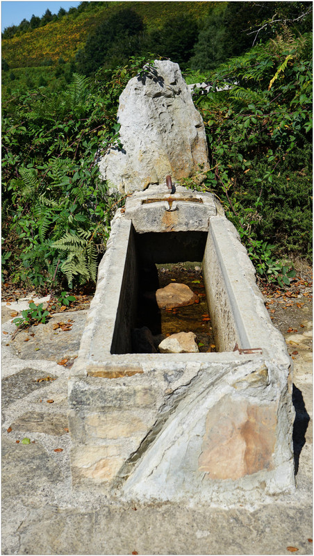 DSC08017