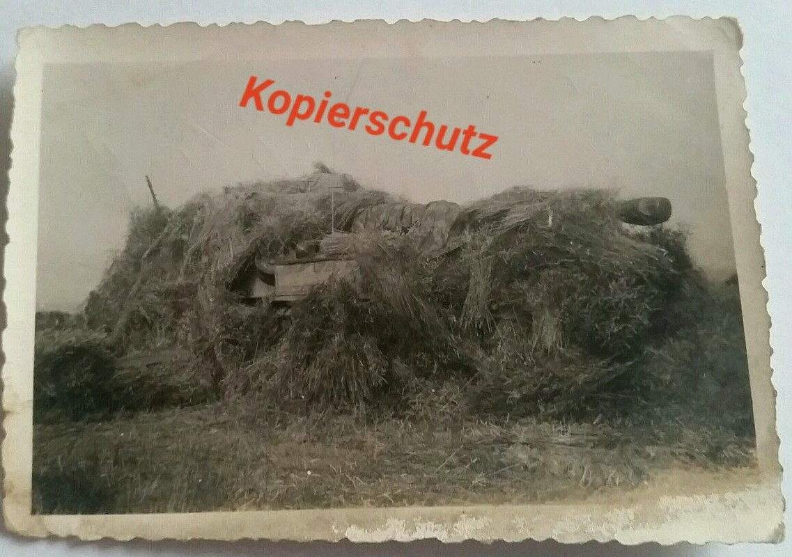 Orig.Foto Panzer Sdkfz Panzerjäger Tiger Elefant
