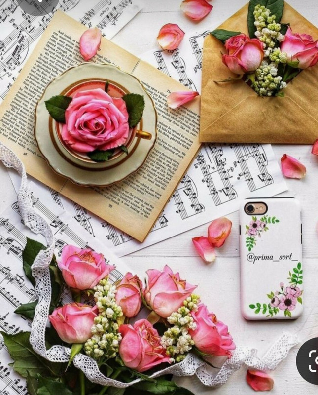 Screenshot_20230409_212728_Pinterest