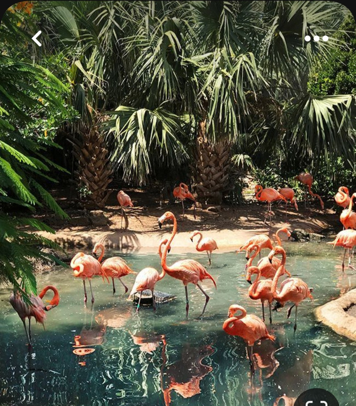 Screenshot_20230611_220834_Pinterest