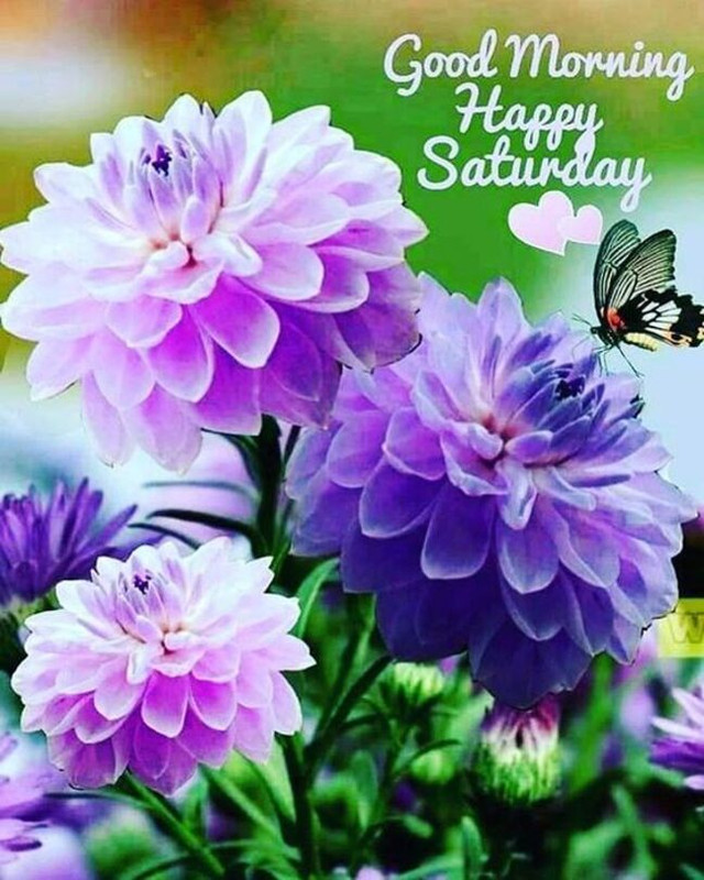 An den Beitrag angehängtes Bild: https://i.postimg.cc/W1kWNNRq/oie-1874328-T1-Gn-F8o0.jpg