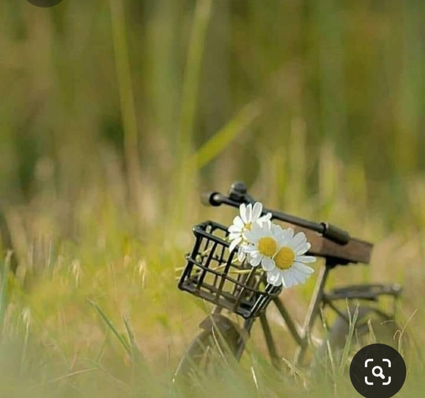 Screenshot_20230416_010350_Pinterest