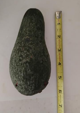 Winter Mexican avocado 2026