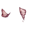 https://i.postimg.cc/W1krDtc3/IMG-1992.webp