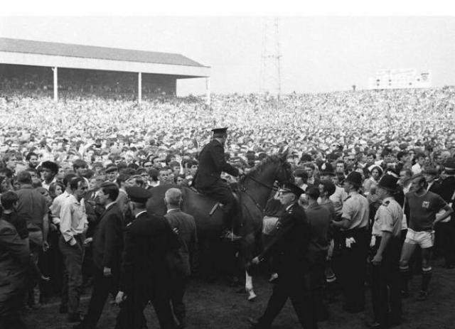 [Image: imageedit-1-5524036336.jpg]