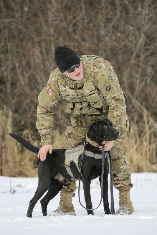 MWD K9JBERA7