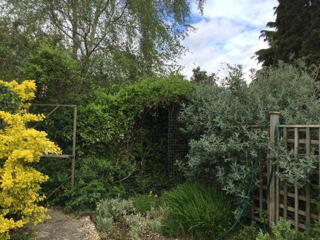 7F8451A8-EE84-49CE-8C57-441FCD4A6B56