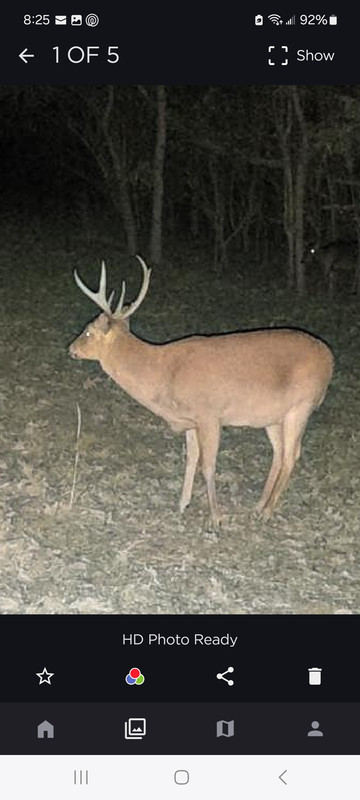 Screenshot_20241222_082545