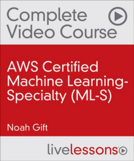 AWS Certified Machine Learning Specialty (ML S)