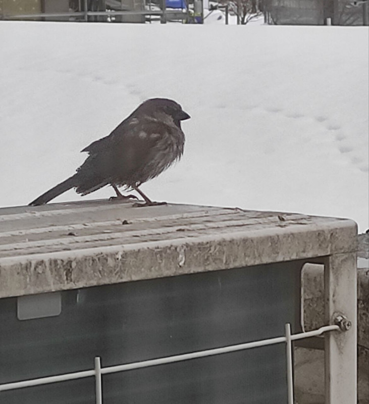 ВНЕ конкурсная