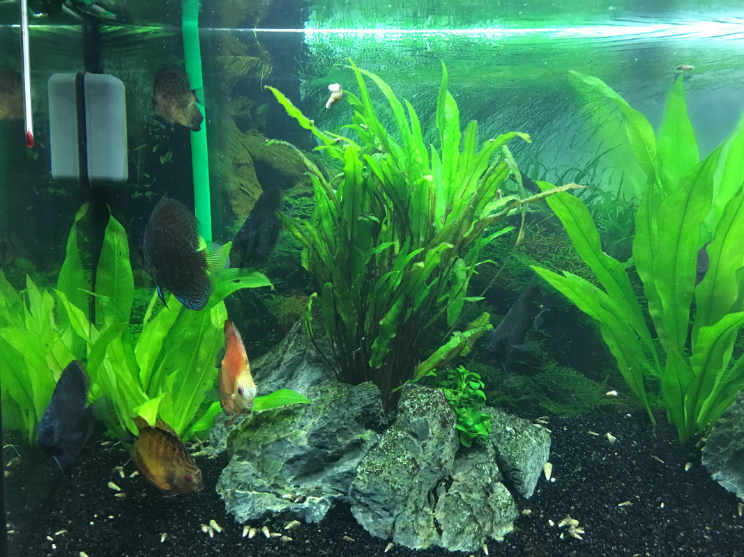 05728D1F-578B-4614-80D4-116164E15DDD