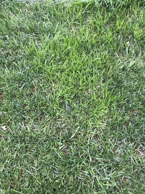 0F31535B-0A5D-440A-8E6B-4B8274B2A08A