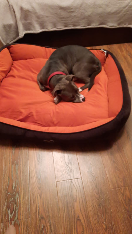 8B70EBA9-3FB3-42BF-B20D-CB6EFB9C772B