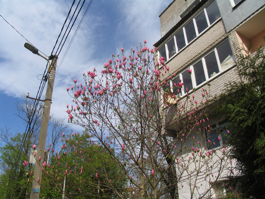 11 апреля 2024 022