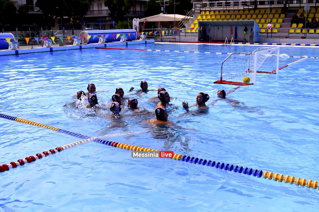 ARGHS-MIKROIDSC-0498
