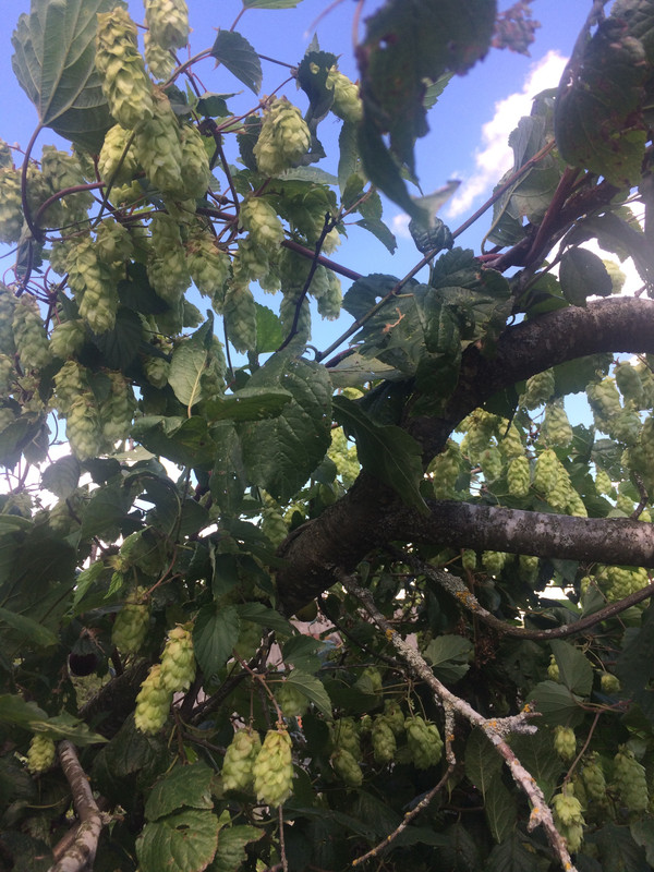 41941D28-1819-4330-AF62-A8A620833F80