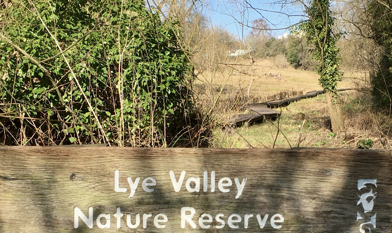 15683A7C-C3B3-4F69-B9EA-A0C7053F511C