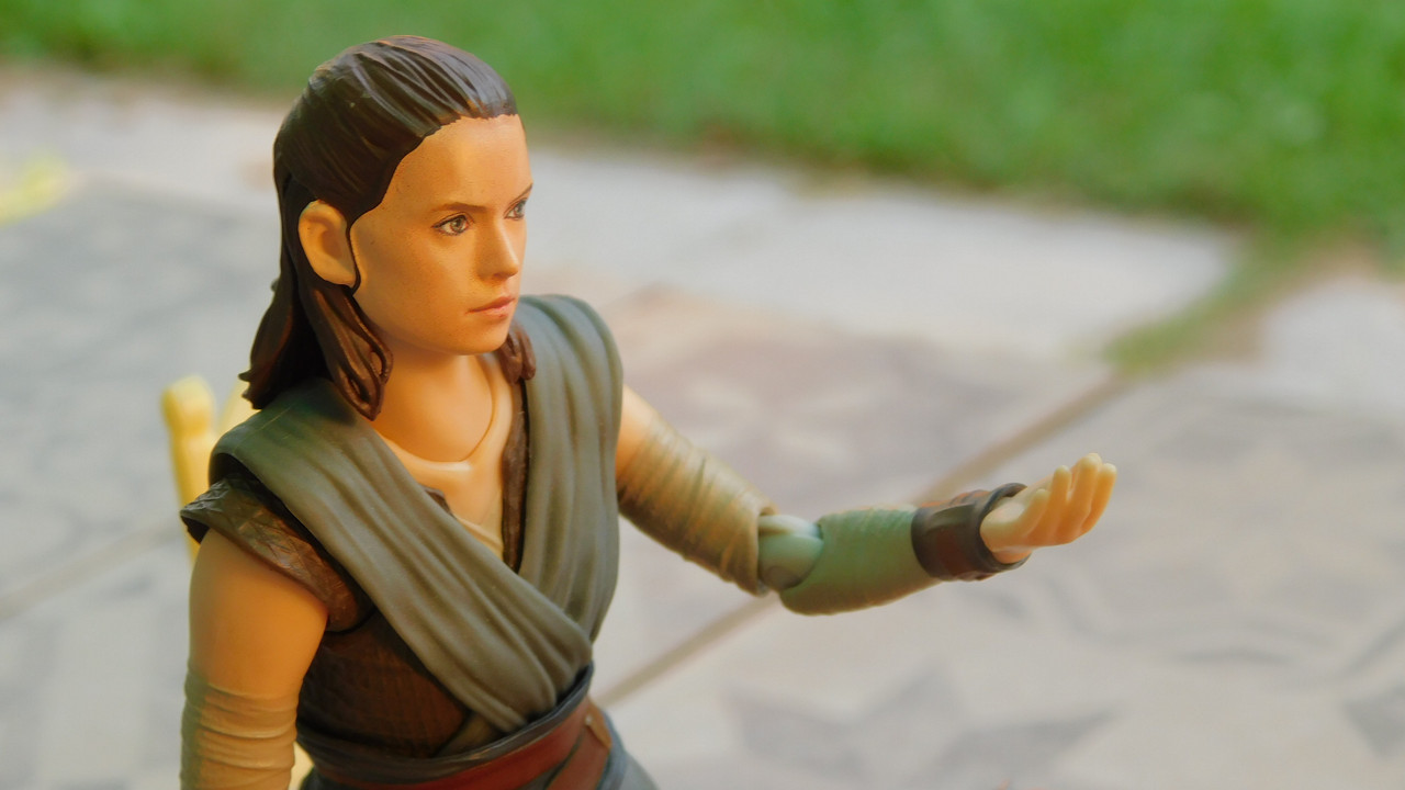 Дачно-Харлинский июнь-июль 2024 131