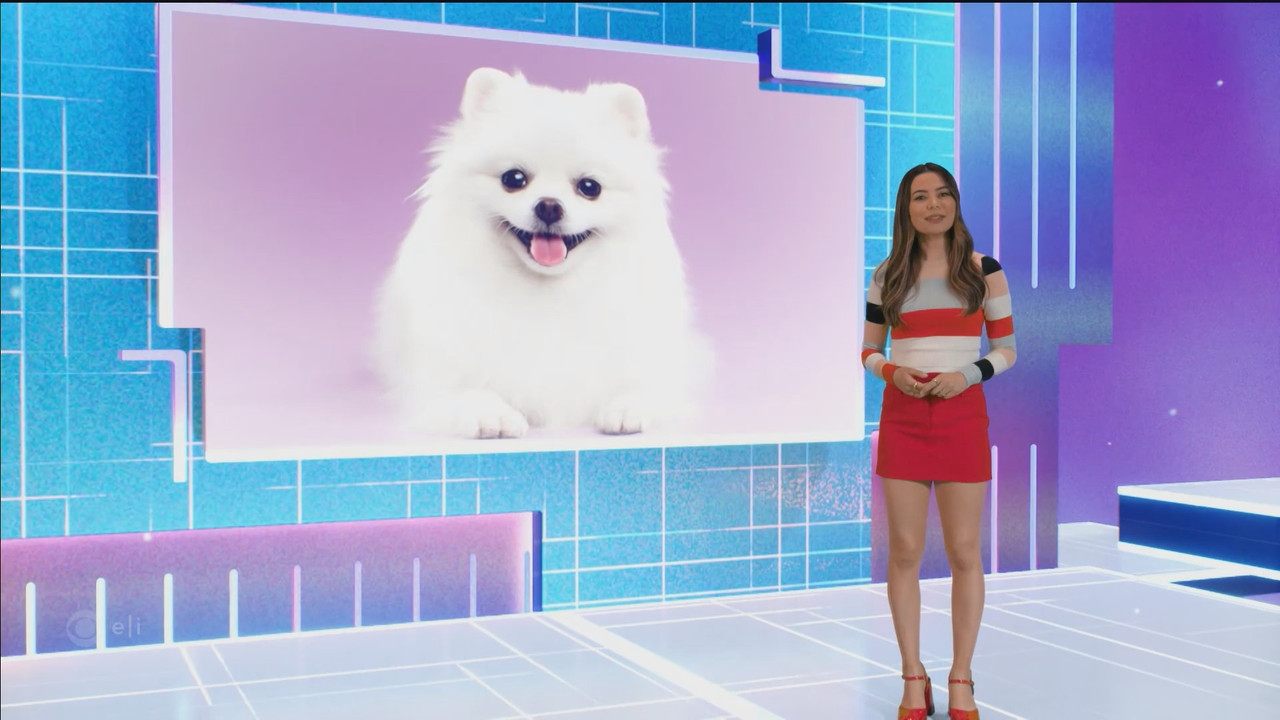 Mission.Unstoppable.S06E12.Aerobatics,.Aggression.and.Articulate.Canines.ts_snapshot_25.36.735