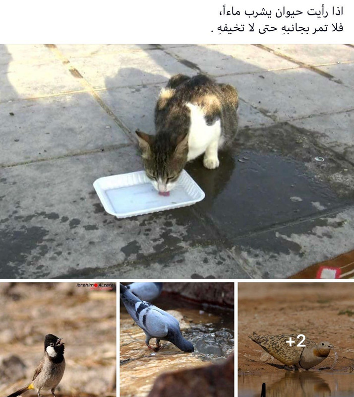 A486E171-901E-409F-AEC2-67BF5C85AAC0