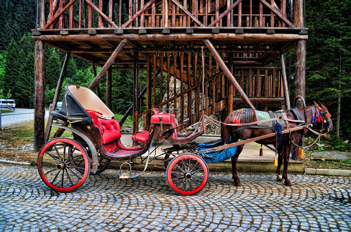 brown-horse-cart-eastern-black-sea-2377687-1280.jpg