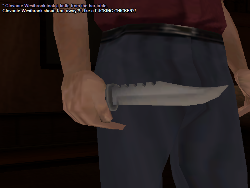 ss13.png