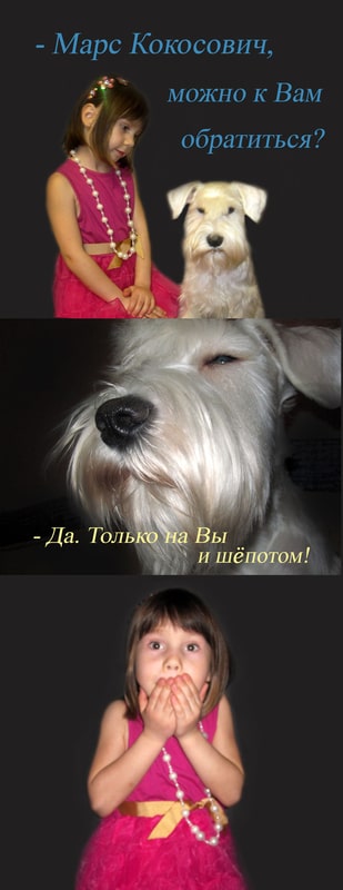 марс-кокосович