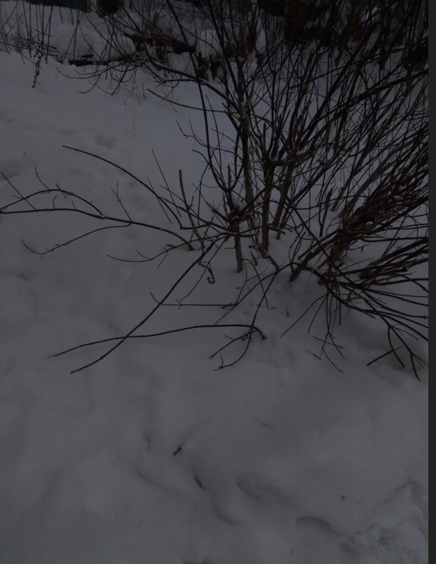 Screenshot 2026 01 21 at 01 06 12