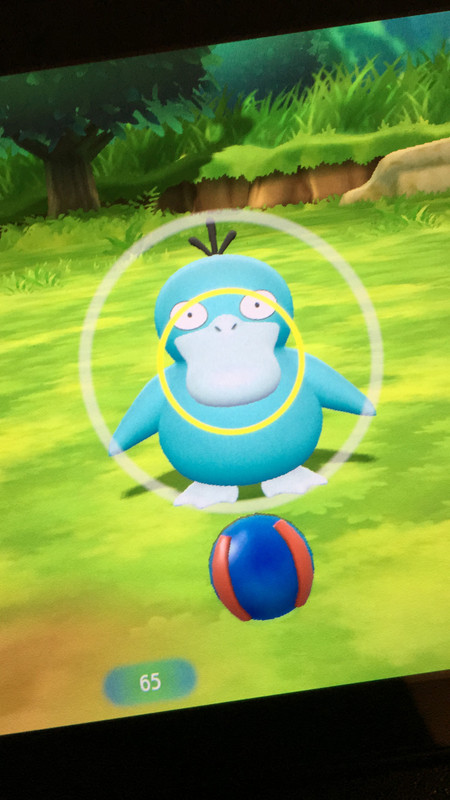 C2731013-8562-4FBE-9065-D6496E5A6DD8