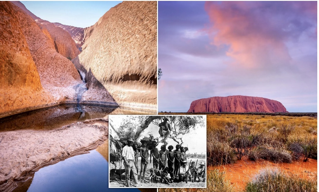 17-CD0-F2-A-262-C-4-A87-BA37-F292-A37071