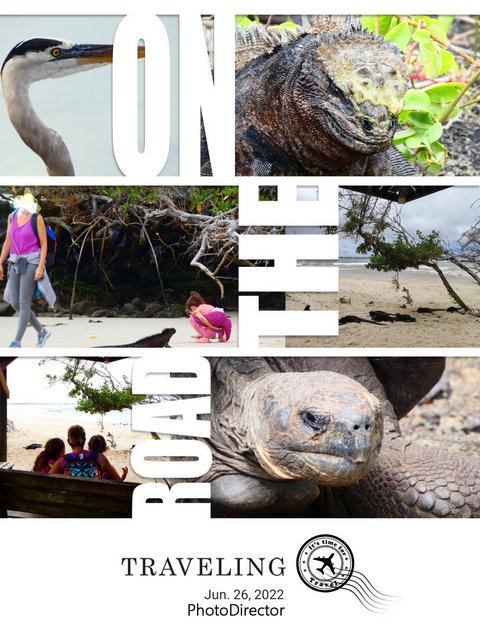 Galápagos 2022 - Blogs de Ecuador - Día 8 (26 de junio): Muro de las Lágrimas y Concha Perla (2)