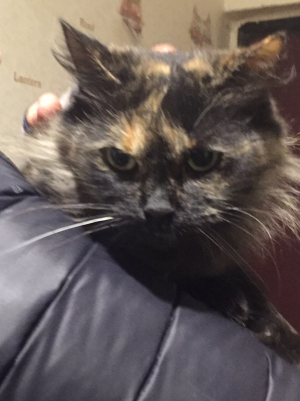 316583C2-AA02-4CBD-ACC0-A3B1881336EC