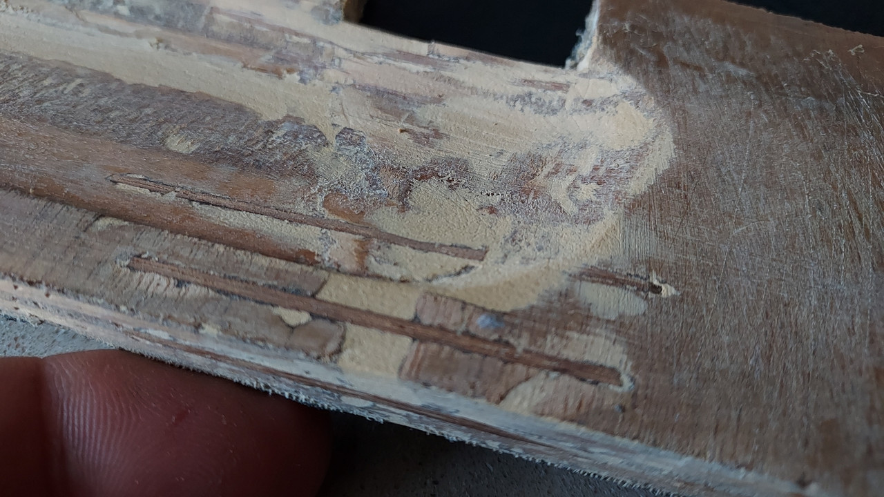 A97D7FC5-7631-407B-B719-C3653A96E4B9