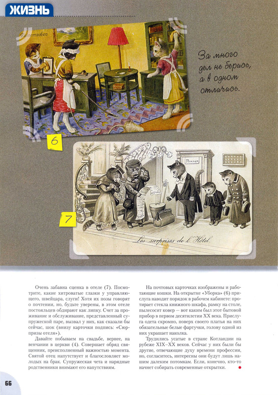 Мой друг кошка № 11 2010-68