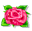 rosa2.gif