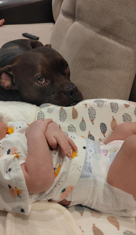 17796524-1735-47B3-9639-DE616F4FF938