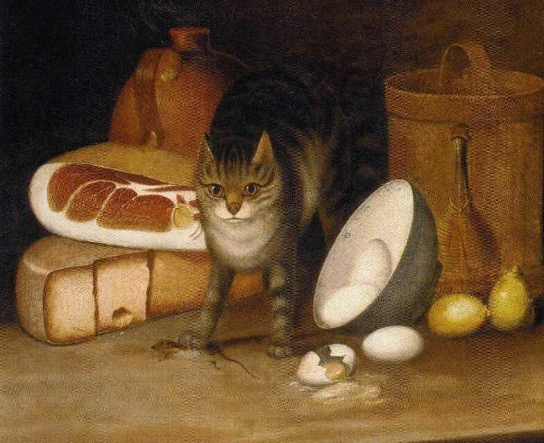 05-catstilllifesmithchiche