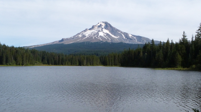 P1260616