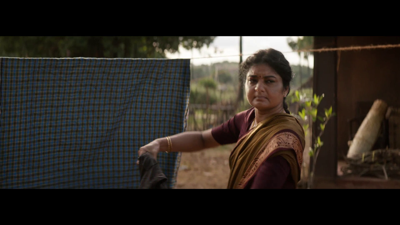 vlcsnap 2025 11 09 15h39m19s627