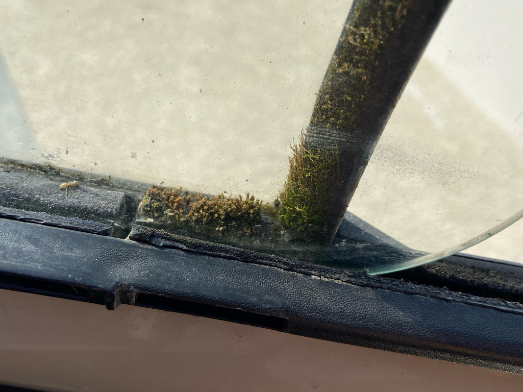 49B0AB15-A731-4786-99B4-43F48BED0FB9