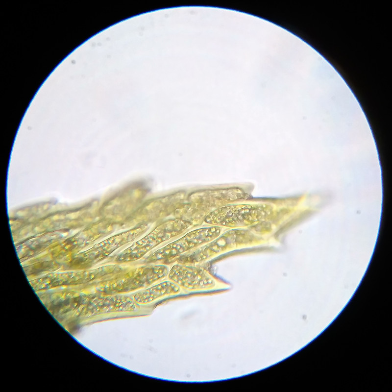 IMG 20250614 111920 HDR